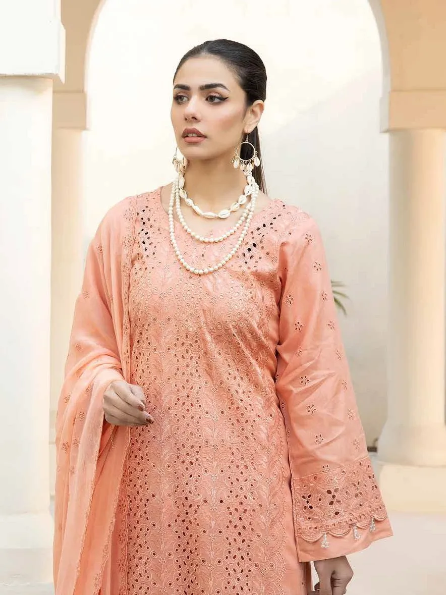 Aafreen by Riaz Arts Embroidered Chikankari Schiffli Lawn 3Pc AF-04