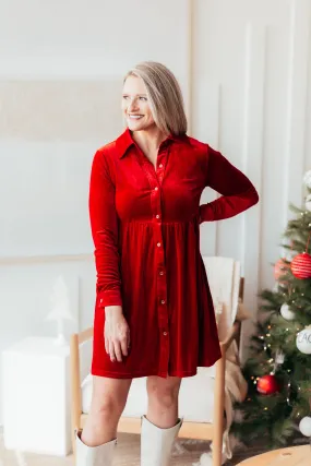 Celebrate Velvet Dress - 3 Colors