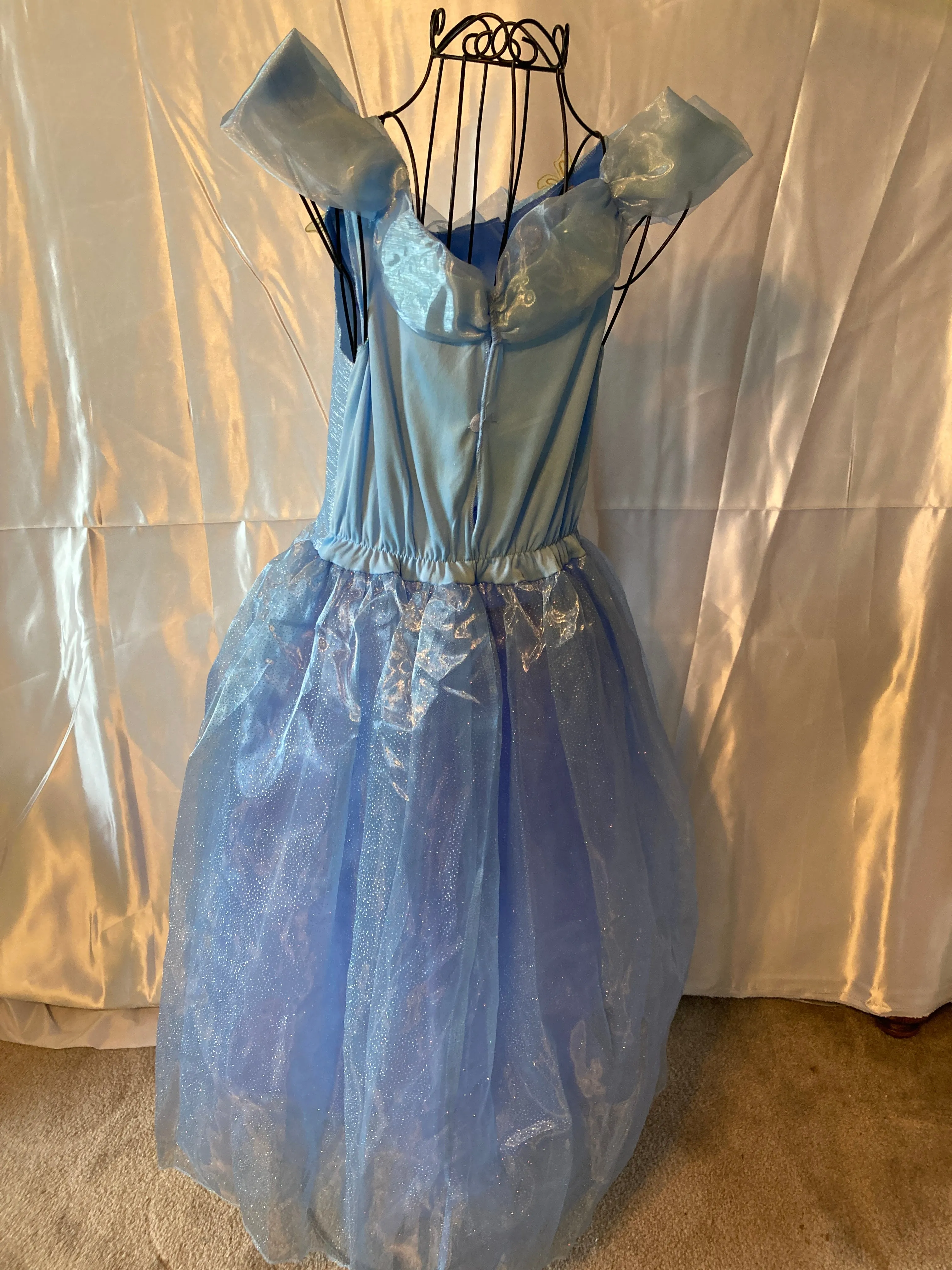 Cinderella Movie Deluxe Costume, Large (10-12)