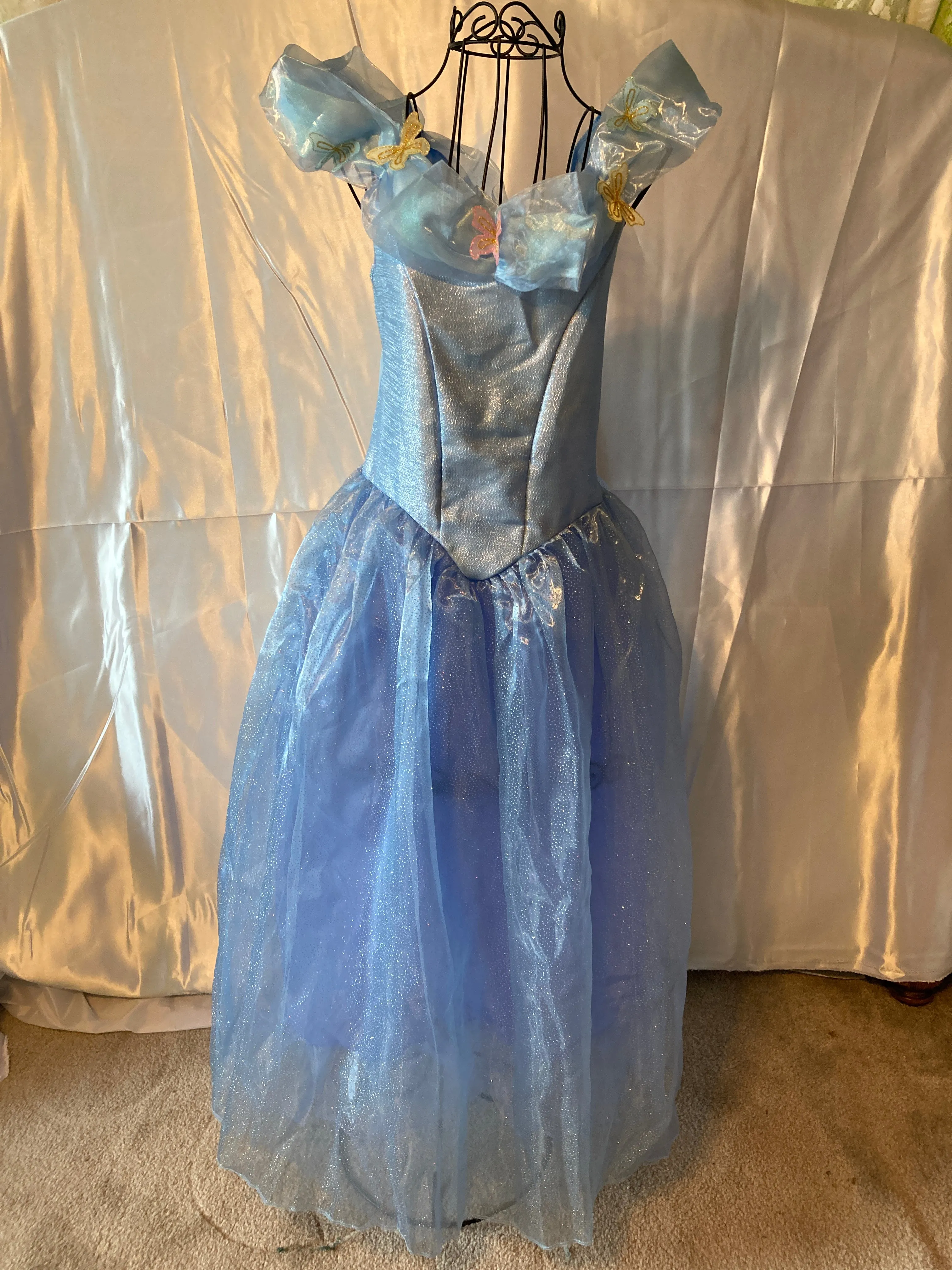 Cinderella Movie Deluxe Costume, Large (10-12)