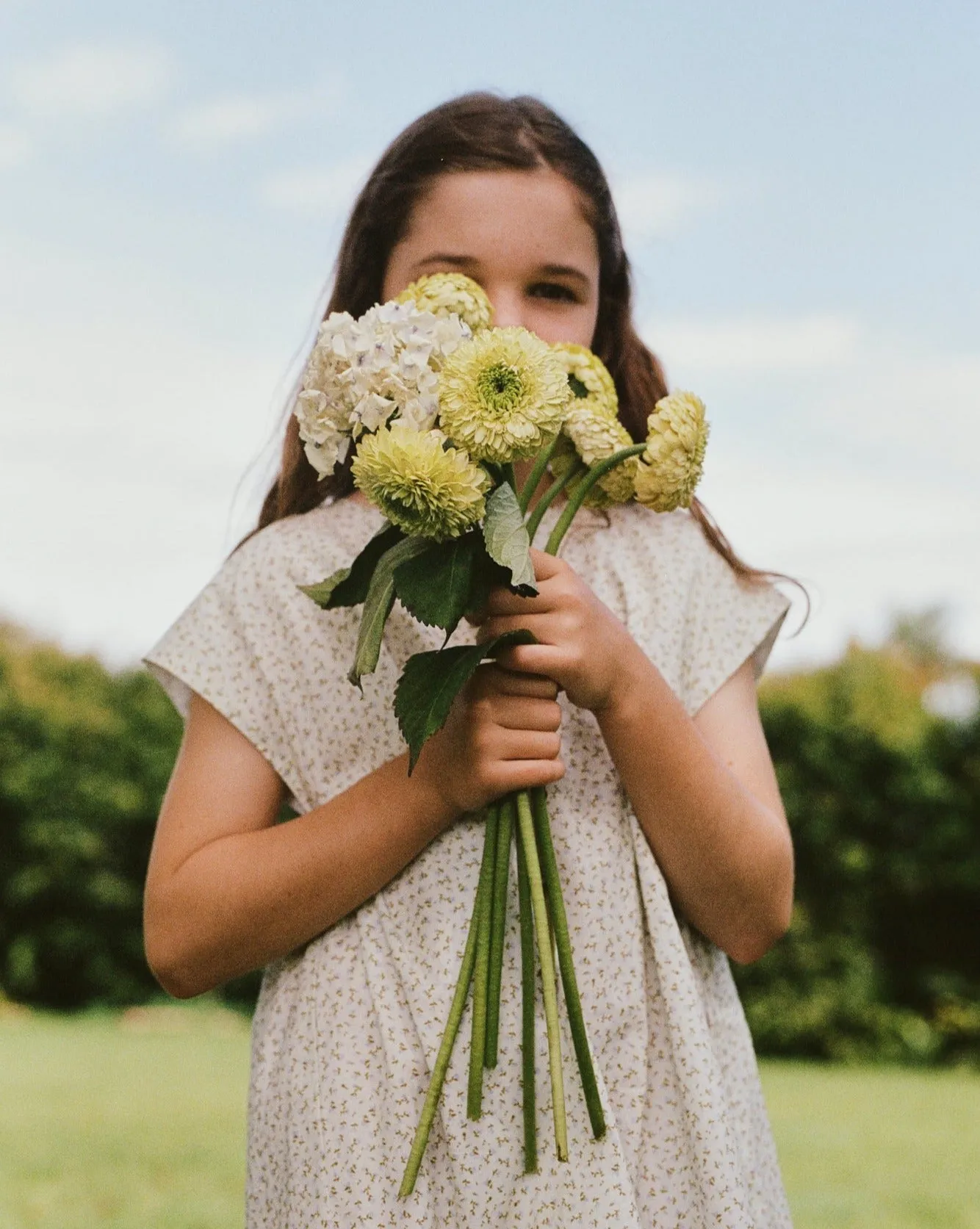 Field Dress, Forget Me Not