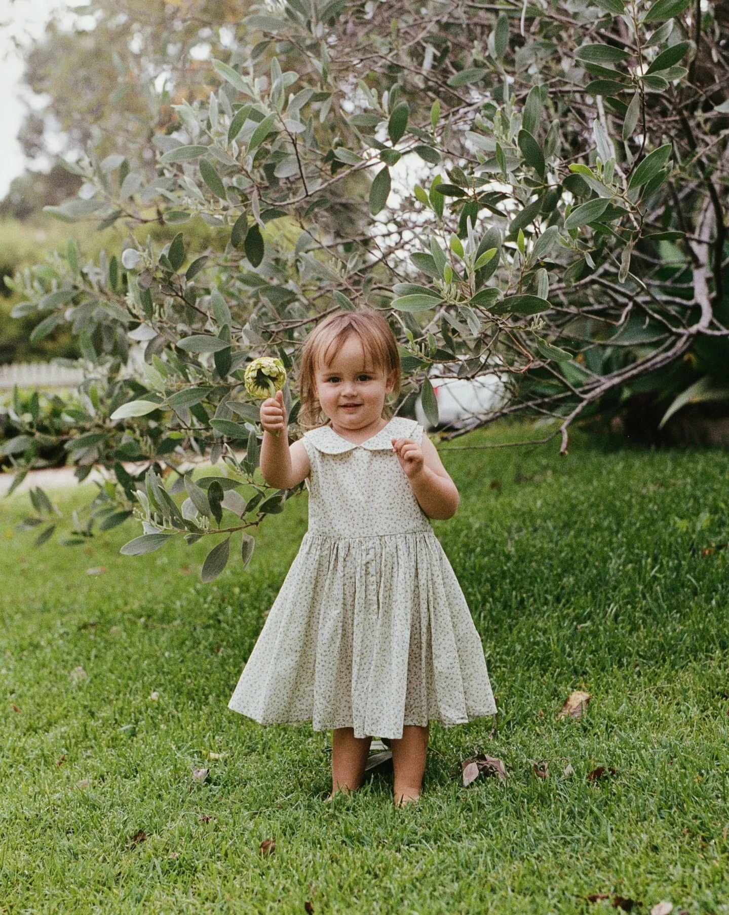 Sunday Dress, Forget Me Not