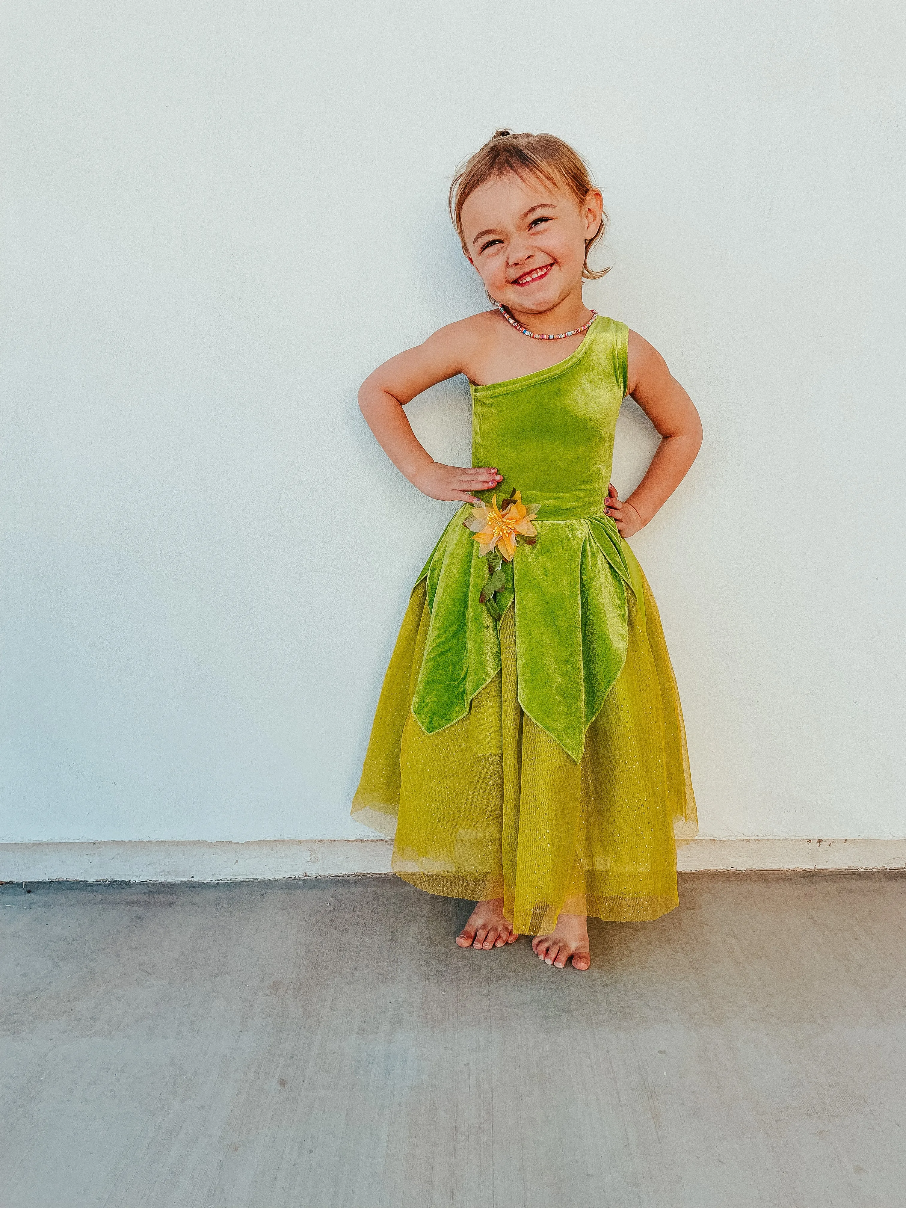 The Frog Princess or Tinker Fairy Duo Costume Dress