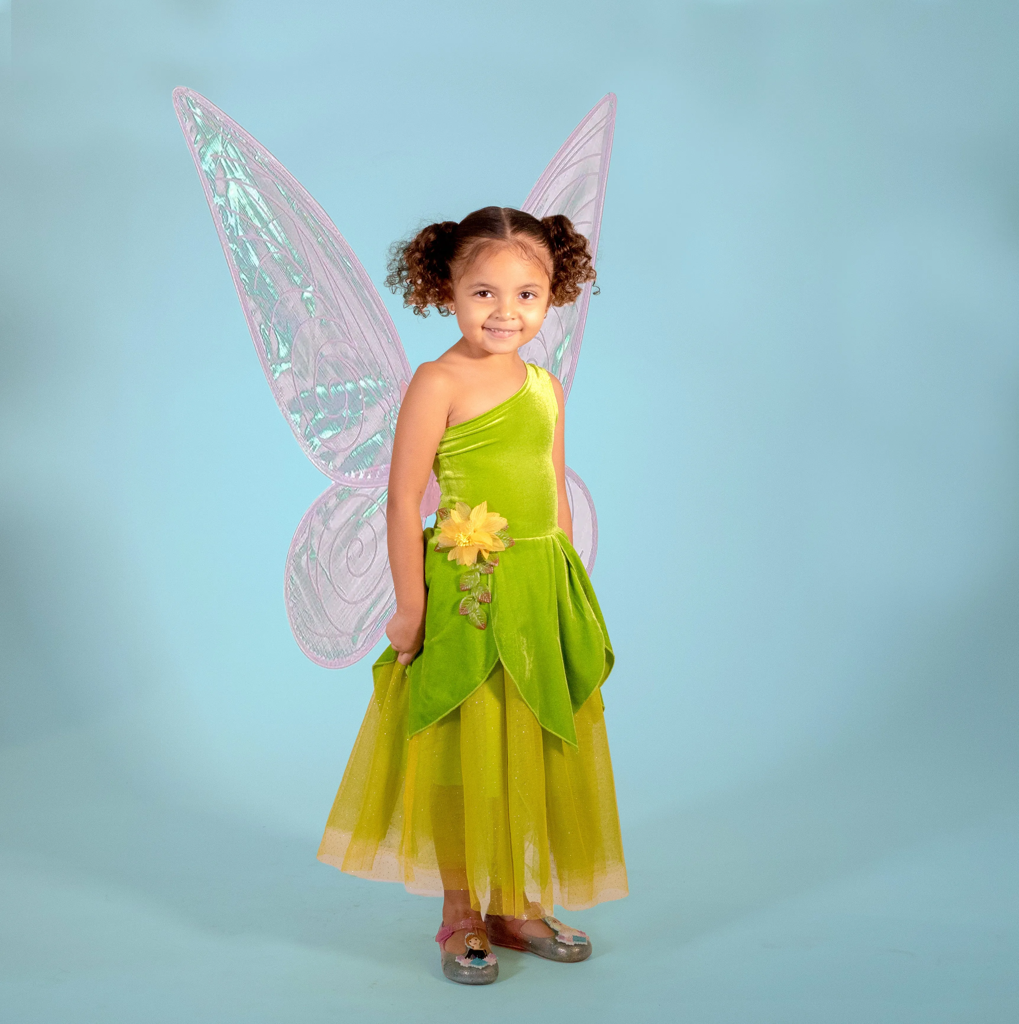 The Frog Princess or Tinker Fairy Duo Costume Dress