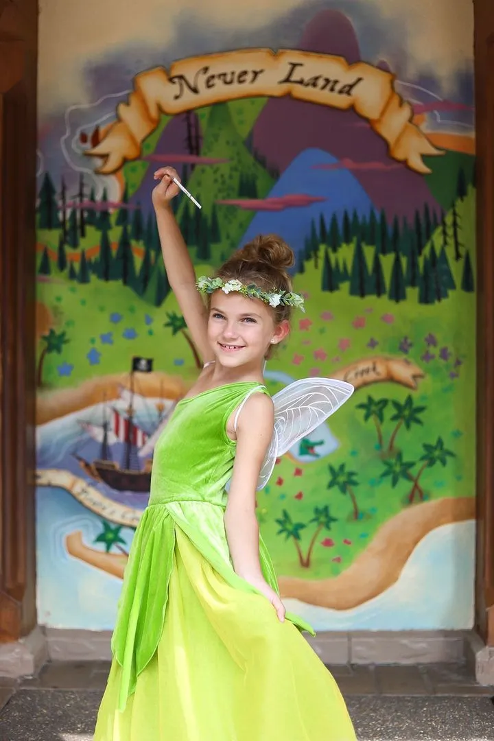 The Frog Princess or Tinker Fairy Duo Costume Dress