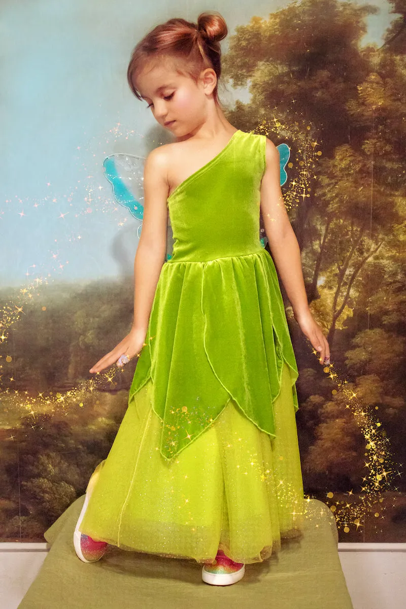 The Frog Princess or Tinker Fairy Duo Costume Dress